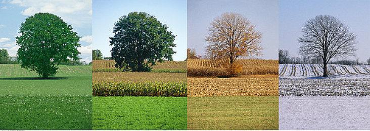 甚至能自己开采石油？加油站大亨新DLC《灰色交易》正式公布