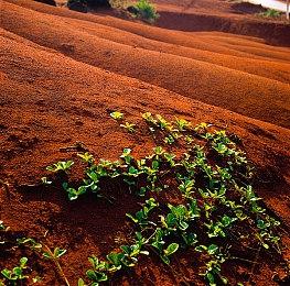 腾讯START云游戏将上线19款新游 有《饥荒》《桥》等